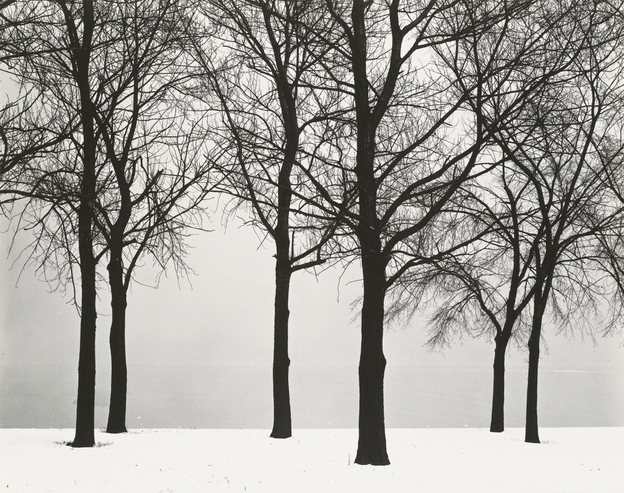 ©Harry Callahan, 1950, Chicago