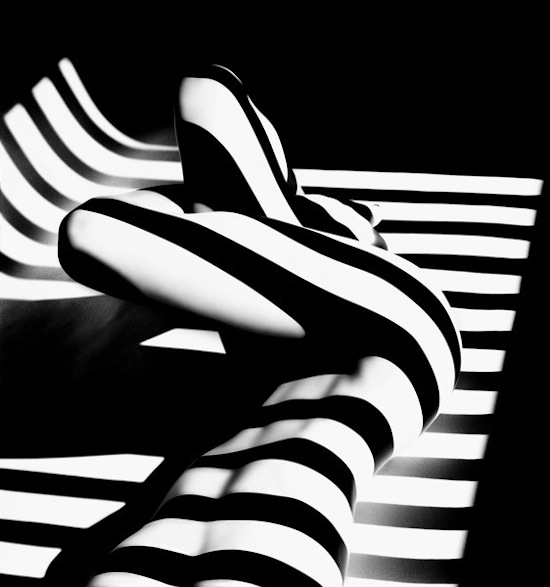 © Francis Giacobetti, 2012, de la serie Zebras.