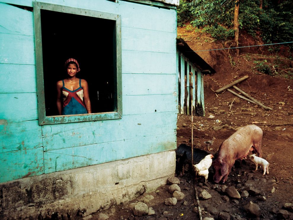 ©William Albert Allard, 1981, Vida en Costa Rica
