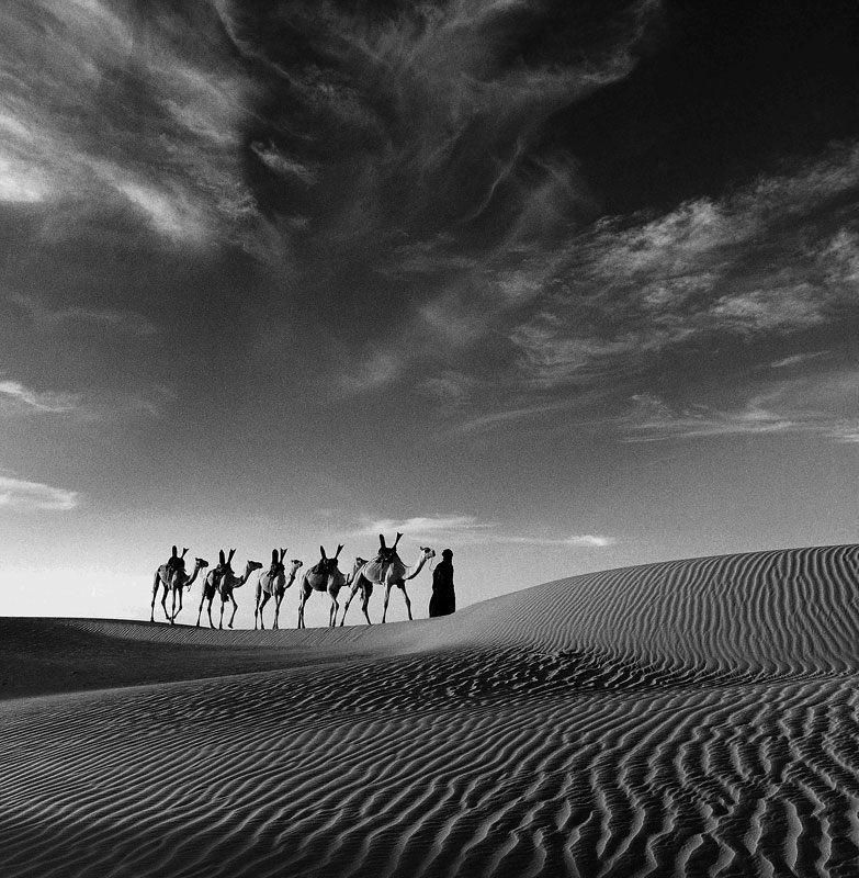©Charlie Waite, Touaregs y Camellos en Timbuktu.