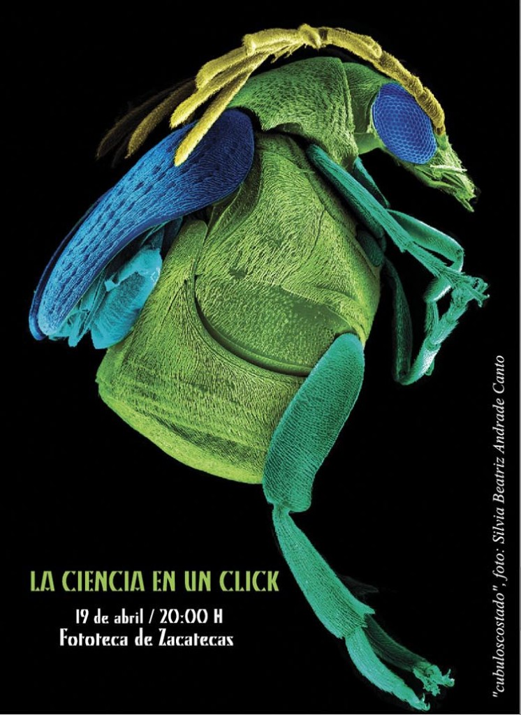 INVITACIÓN CIENCIA EN UN CLICK