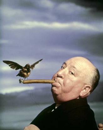 ©Philippe Halsman, 1962, Alfred Hitchcock, durante la filmación de la película Los Pajaros.