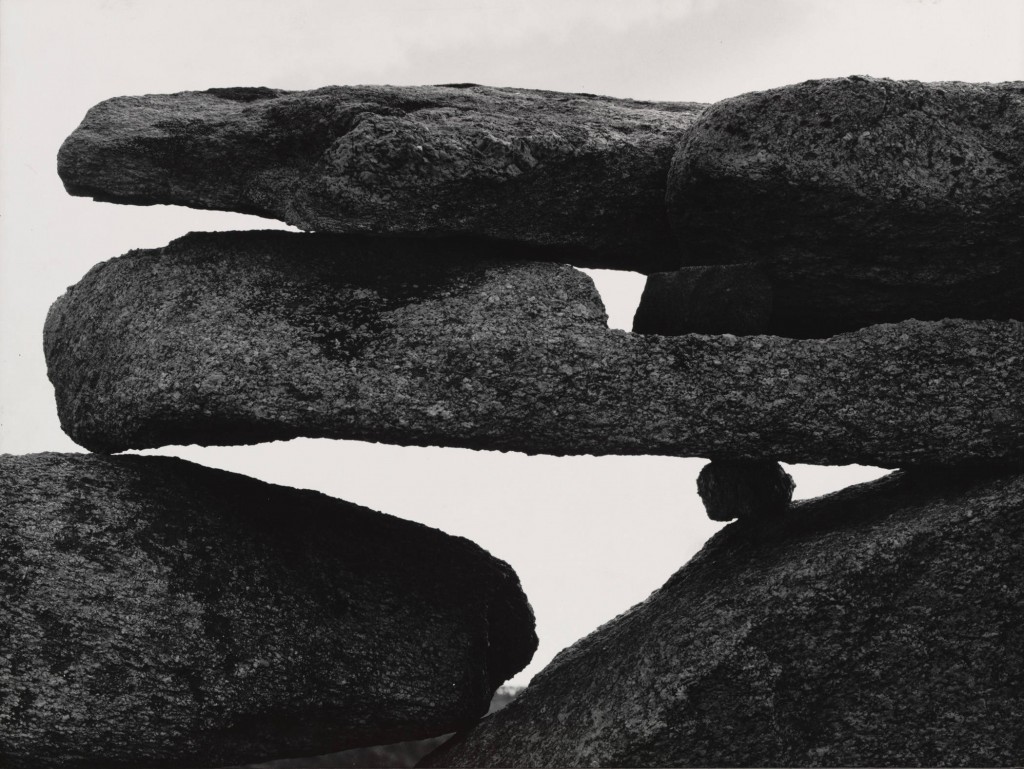 ©Aaron Siskind, El Jardin de Martha, 1954