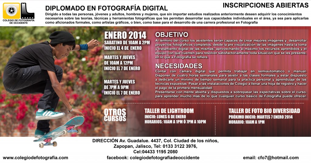 diplomado enero 2014 (1)