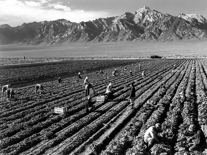 ©Ansel Adams, Trabajadores en Granja, cerca de Mt. Williamson, 1943